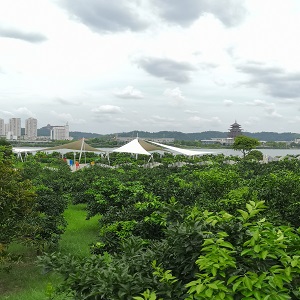 四川遂宁市圣莲岛万豪酒店温泉 ，景观飞燕膜结构 ，项目面积：760平米